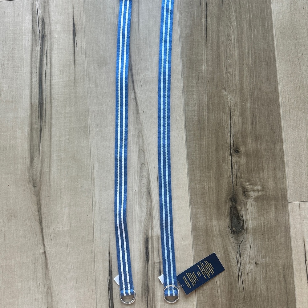 Blue and White Striped Belt